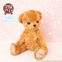 Gakuen Alice collaboration Mr. Bear stuffed animal　学園アリスコラボMrベアぬいぐるみ