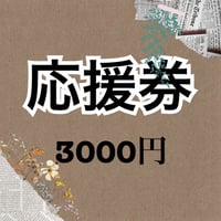 デイリー応援券3000円