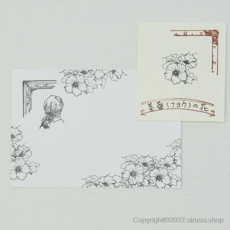 芙蓉（フヨウ）の花