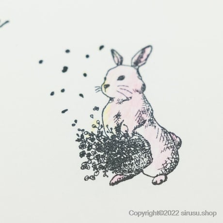 野うさぎの花かご