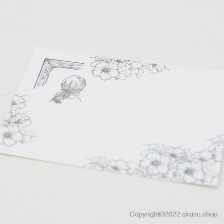 芙蓉（フヨウ）の花