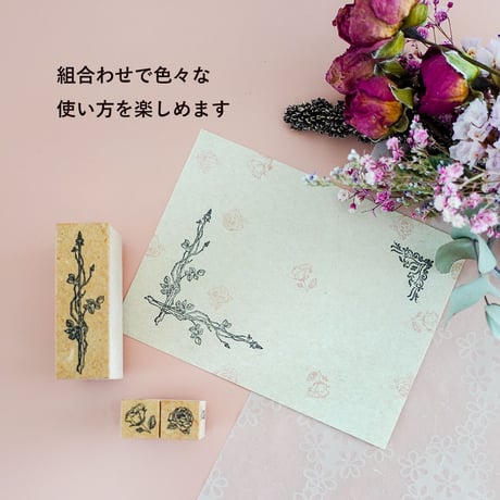 アリスの庭のバラのツタ