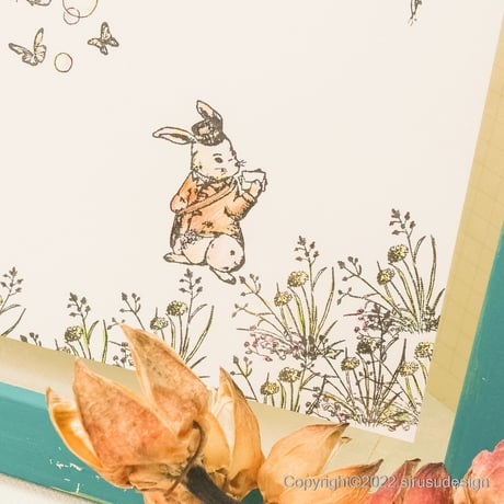 たんぽぽとあら草