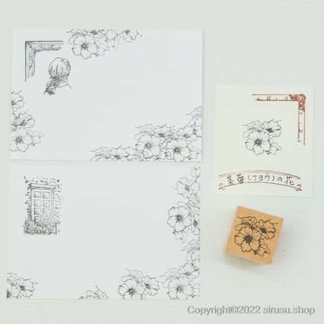 芙蓉（フヨウ）の花