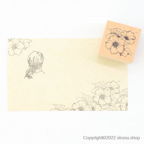 芙蓉（フヨウ）の花