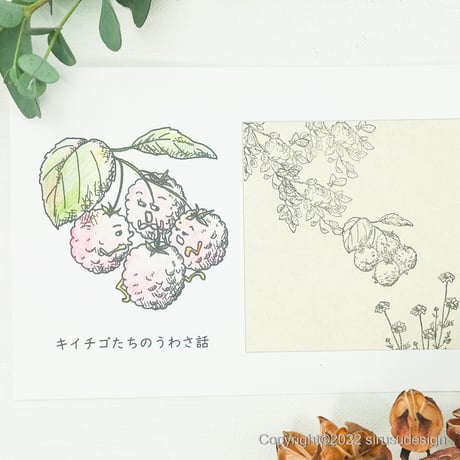 「キイチゴたちの三蜜（うわさ話）」ヒューマンベジタブル