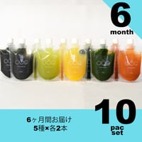 【6ヶ月コース】5種×2セットFROZEN JUICE