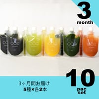 【３ヶ月コース】5種×2セットFROZEN JUICE
