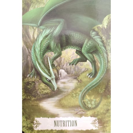 🔔DRAGON WISDOM（英語解説書付き）