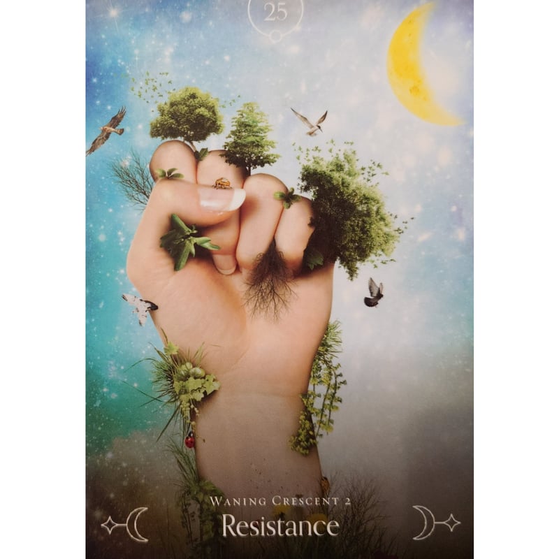 🔔クイーンオブザムーンオラクル（日本語解説書付き） | 横浜