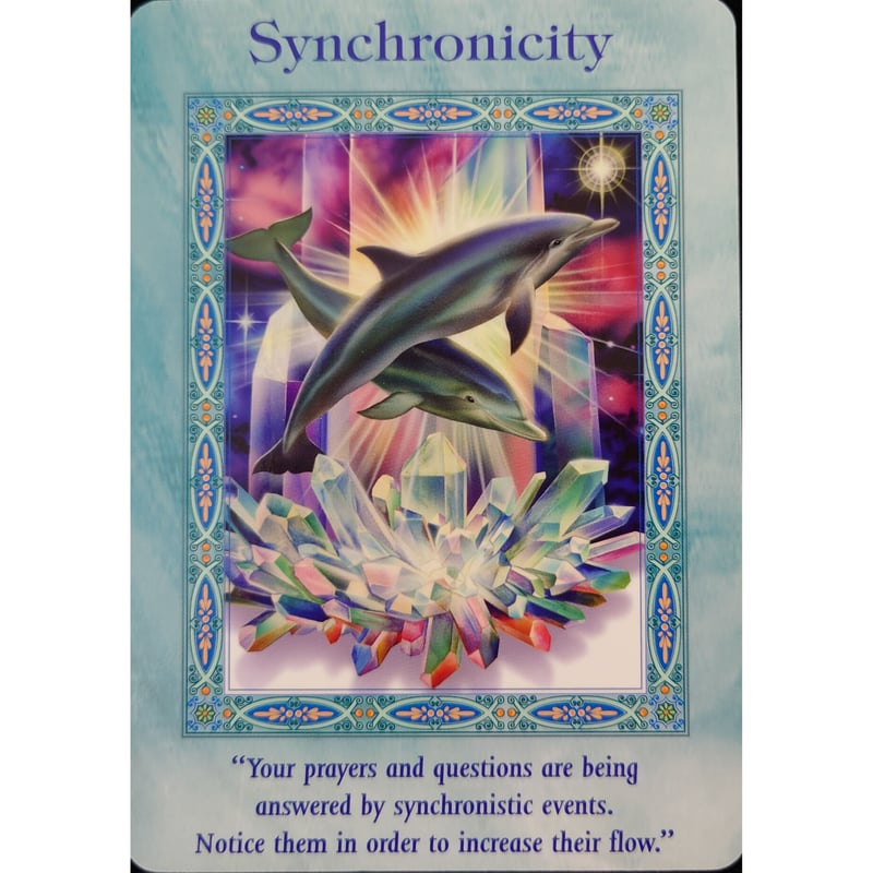 🔔マーメイド＆ドルフィンオラクルカード（日本語解説書付き） | 横浜