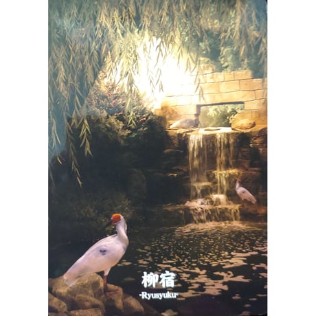 🔔ルナ・アストロロジー・ディビネーションオラクルカード（日本語解説書付き）