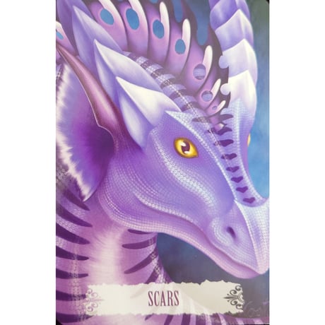 🔔DRAGON WISDOM（英語解説書付き）