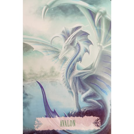 🔔DRAGON WISDOM（英語解説書付き）