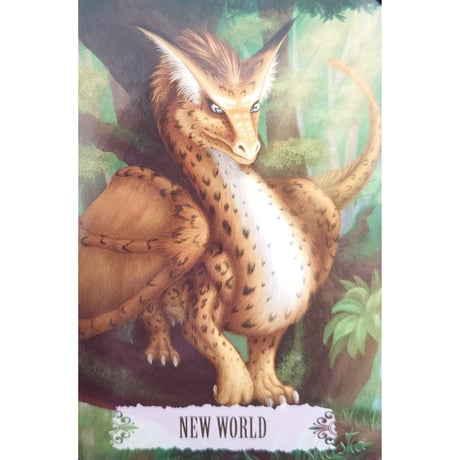 🔔DRAGON WISDOM（英語解説書付き）