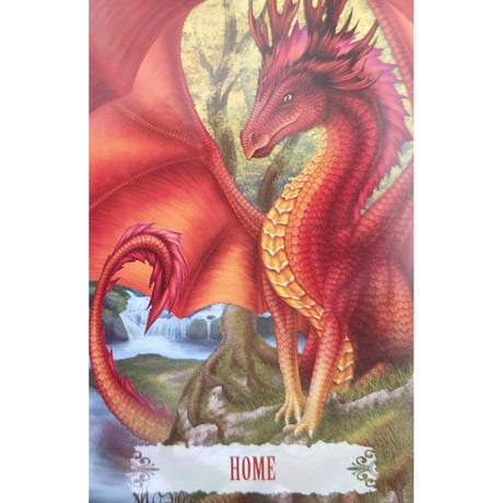 🔔DRAGON WISDOM（英語解説書付き）