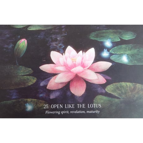 🔔ORACLE OF THE HIDDEN WORLDS（日本語解説書付き）