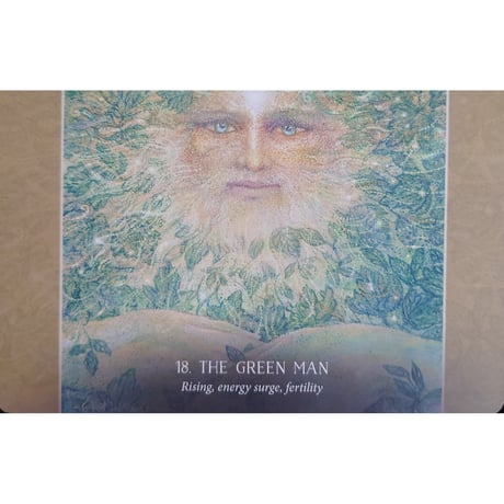 🔔ORACLE OF THE HIDDEN WORLDS（日本語解説書付き）