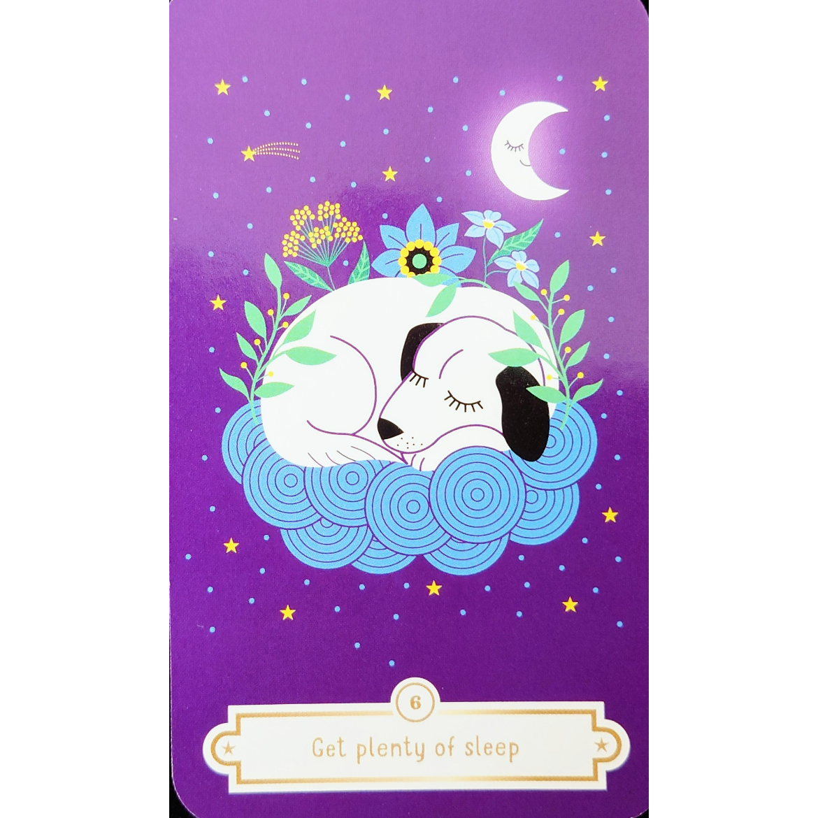 🔔My First MAGIC ORACLE（海外版） | 横浜カードカフェ