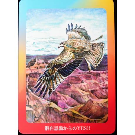 🔔セルフラブオタクル（日本語解説書付き）