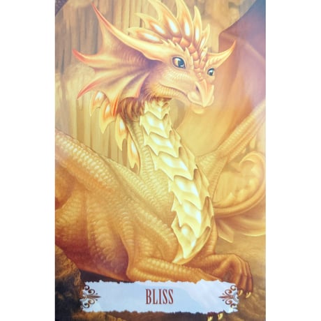 🔔DRAGON WISDOM（英語解説書付き）