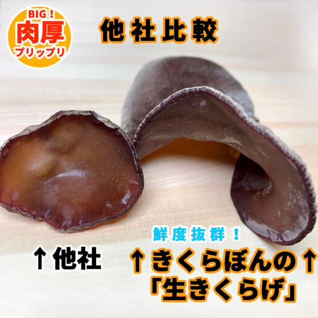 きくらぼんの「生きくらげ」1パック　　130g