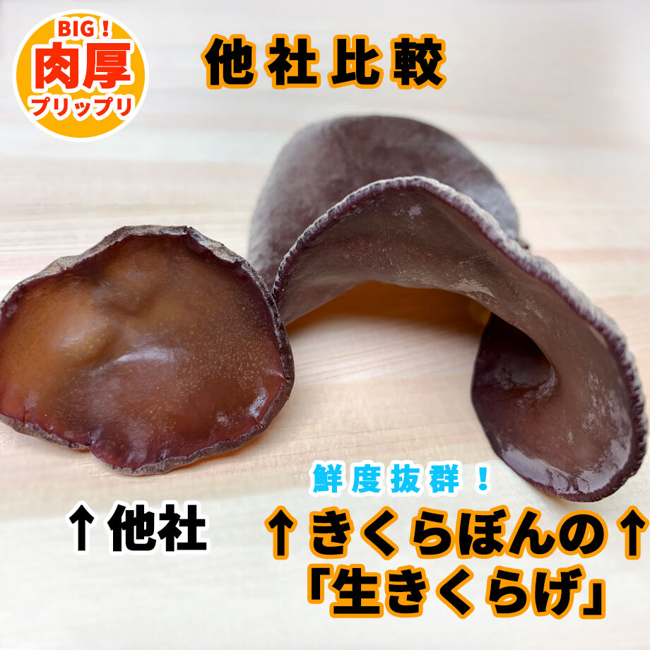 632d54a2f308653bea3cd38a