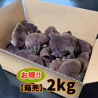 きくらぼんの「生きくらげ」　　　【箱売り】2kg