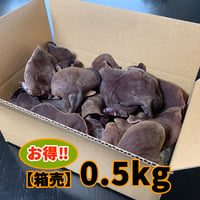 きくらぼんの「生きくらげ」　　　【箱売り】0.5kg