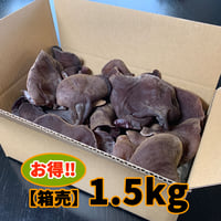 きくらぼんの「生きくらげ」　　　【箱売り】1.5kg