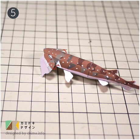 トラザメ　ペーパークラフト