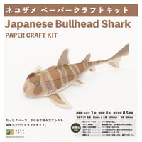 ネコザメ　ペーパークラフト