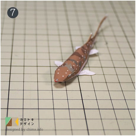 トラザメ　ペーパークラフト
