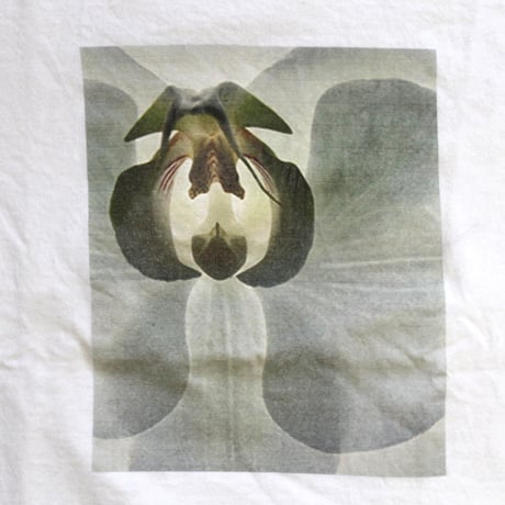 FlowerBomb "Column”