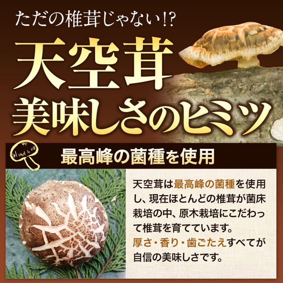 64ed82d6a18e8d002dfc58e5