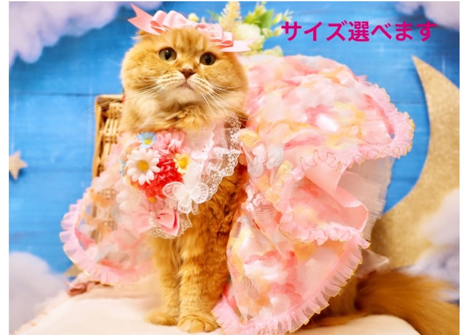 663b8a6db37ea41273a51dfb