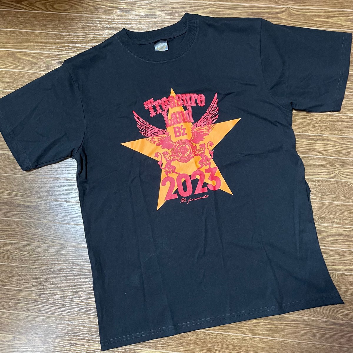 リメイク品 参考 > グッズTシャツ+デニムパンツ残骸 → パンツ リメイク品 参考 > グッズTシャツ+デニムパンツ残骸 → パンツ