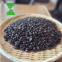 【豆／粉】🇪🇹エチオピア 100g〜