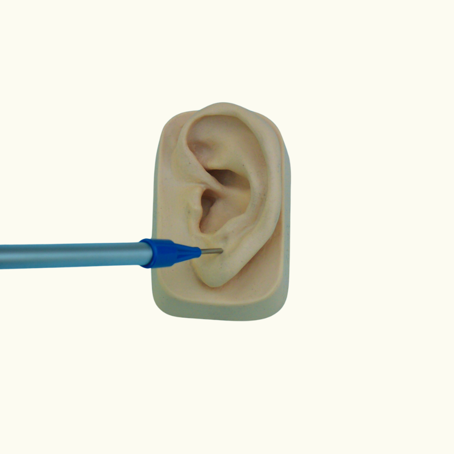 Sedatelec社 シリコン耳模型（両耳セット） | TP医療機器販売センター
