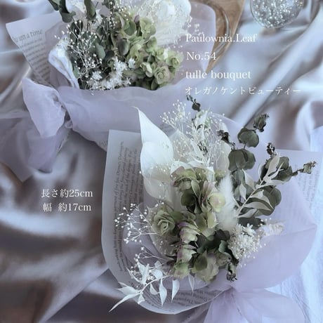 CATEGORY paulownia.leaf【パウロニアリーフ】 / ドライフラワー | S 