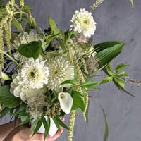 【M】arrangement/GreenWhite