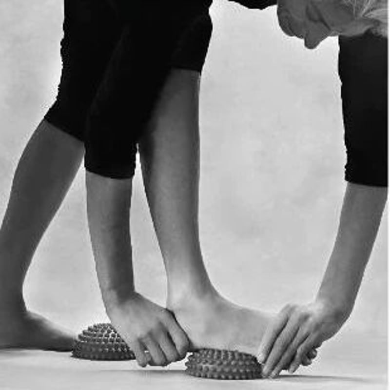 yamuna ゴールド エクササイズボール フットウェイカーズ yamuna ゴールド エクササイズボール フットウェイカーズ フット