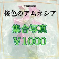 『桜色のアムネシア』集合写真