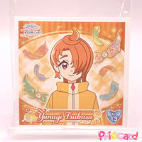 フレッシュプリキュア！ カード 山吹祈里 キュアパイン | Pri☆card