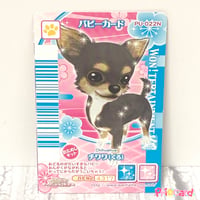ワンタメミュージックチャンネル　パピーカード　チワワ（くろ）
