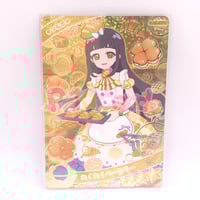 ドリチケ】プリパラ プロモ 公式ファンブック ロイヤルファー