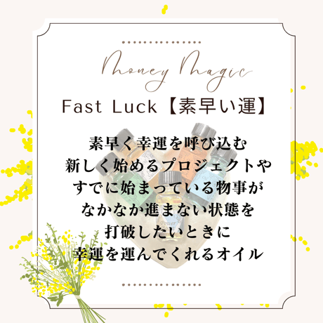 アンシェントメモリーオイル【Money Magic】