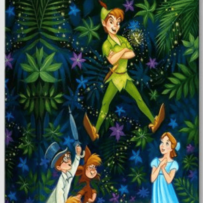 【限定セール中】ディズニー　ファインアート 月夜のピーターパン 限定セール中】ディズニー ファインアート 月夜のピーターパン 限定