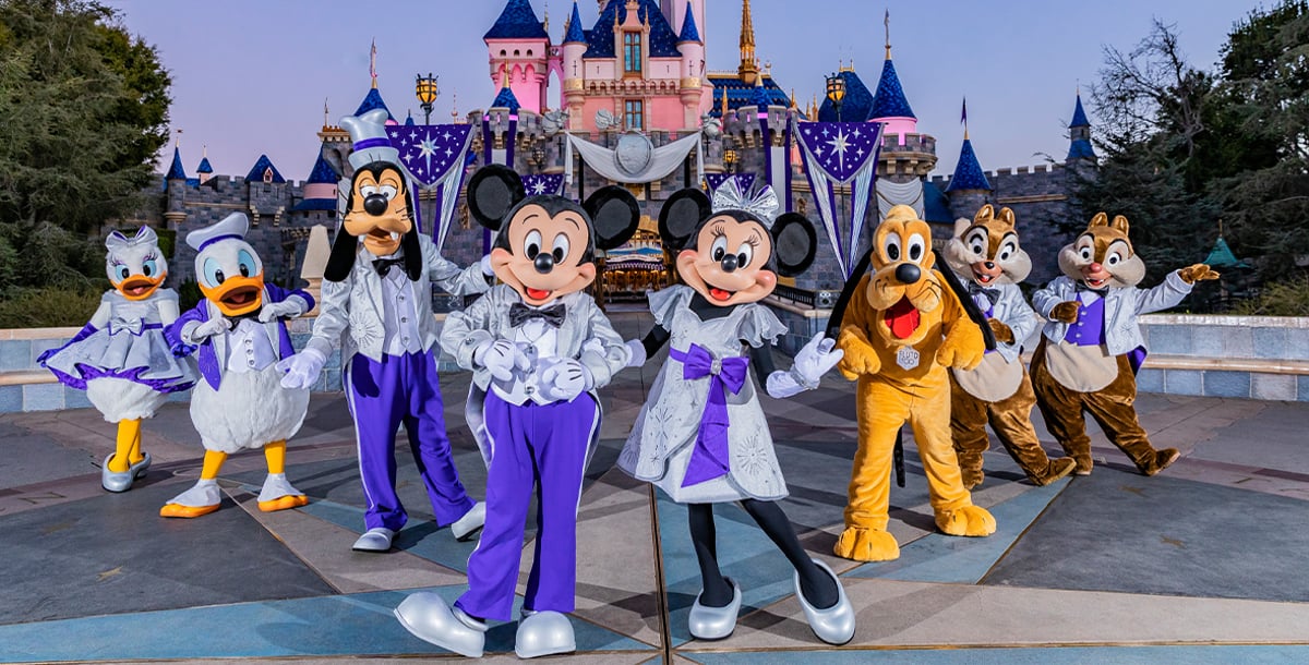 ディズニーランドの定義とは何ですか？ | MuMuCa 夢々花