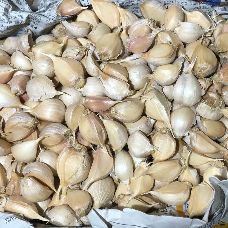 Sumi SUN farm's STORE